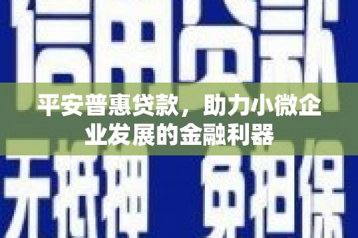 楠西平安普惠贷款，助力小微企业发展的金融利器