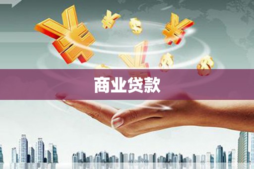 楠西商业贷款