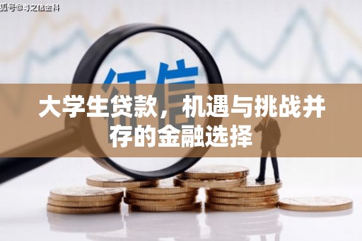 楠西大学生贷款，机遇与挑战并存的金融选择
