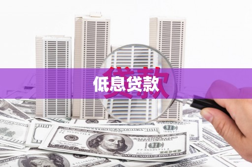 楠西低息贷款