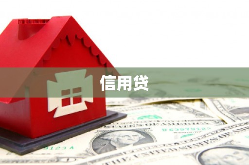 楠西信用贷