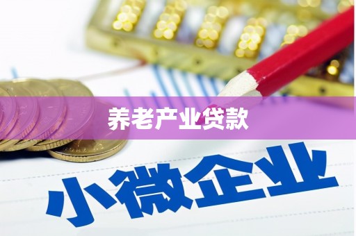 楠西养老产业贷款