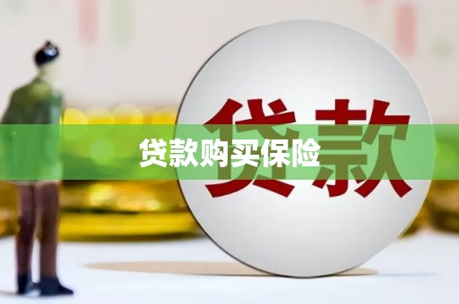 楠西贷款购买保险