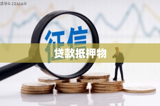 楠西贷款抵押物