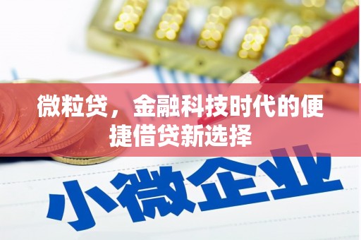楠西微粒贷，金融科技时代的便捷借贷新选择