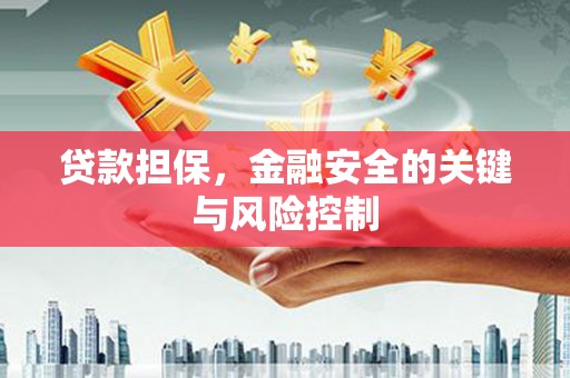 楠西贷款担保，金融安全的关键与风险控制