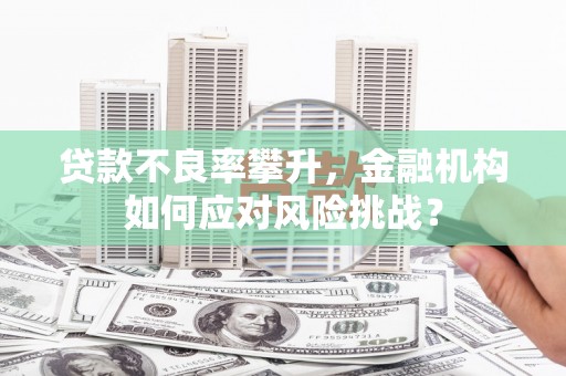 楠西贷款不良率攀升，金融机构如何应对风险挑战？