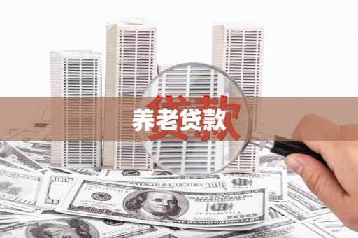 楠西养老贷款