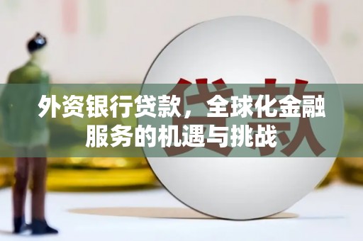 楠西外资银行贷款，全球化金融服务的机遇与挑战