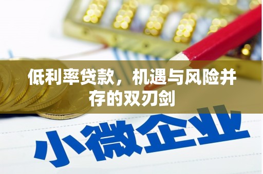 楠西低利率贷款，机遇与风险并存的双刃剑