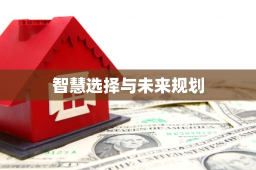 楠西智慧选择与未来规划