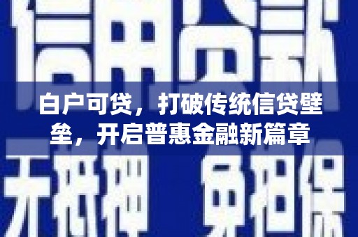 楠西白户可贷，打破传统信贷壁垒，开启普惠金融新篇章