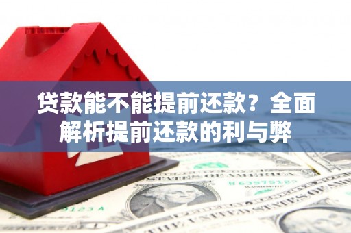 楠西贷款能不能提前还款？全面解析提前还款的利与弊