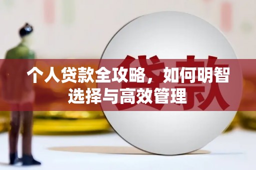 楠西个人贷款全攻略，如何明智选择与高效管理