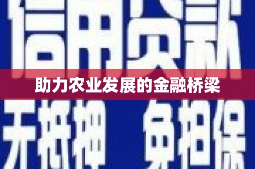 楠西助力农业发展的金融桥梁