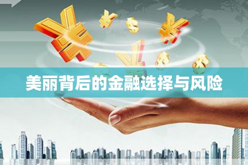 楠西美丽背后的金融选择与风险