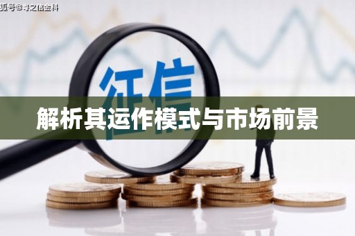 楠西解析其运作模式与市场前景