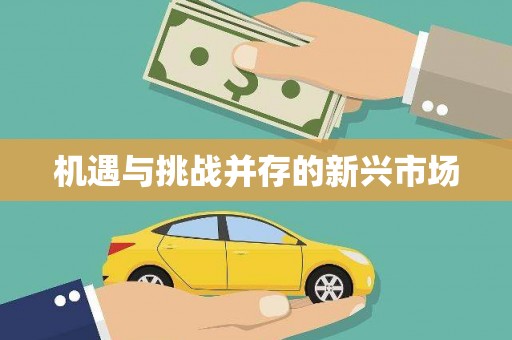 楠西机遇与挑战并存的新兴市场