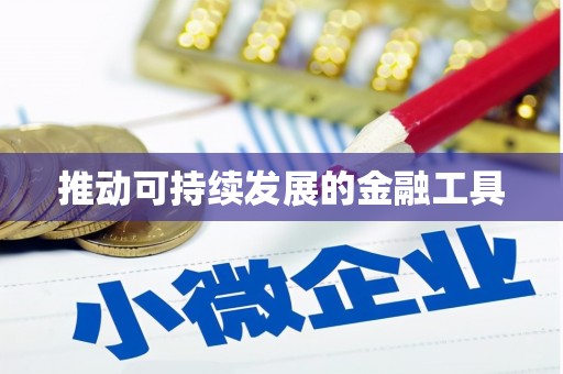 楠西推动可持续发展的金融工具