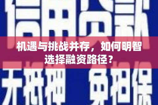 楠西机遇与挑战并存，如何明智选择融资路径？
