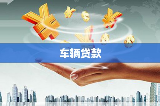 楠西车辆贷款