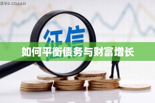 楠西如何平衡债务与财富增长